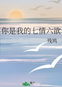 你是我的七情六欲