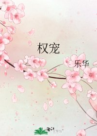 权宠