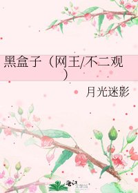 黑盒子（网王/不二观）